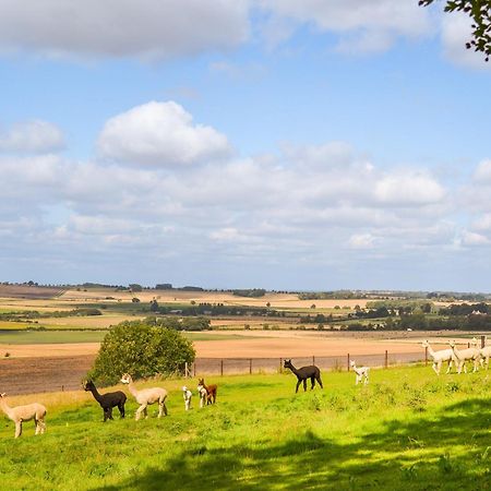 Alpaca Lodge Barkston المظهر الخارجي الصورة