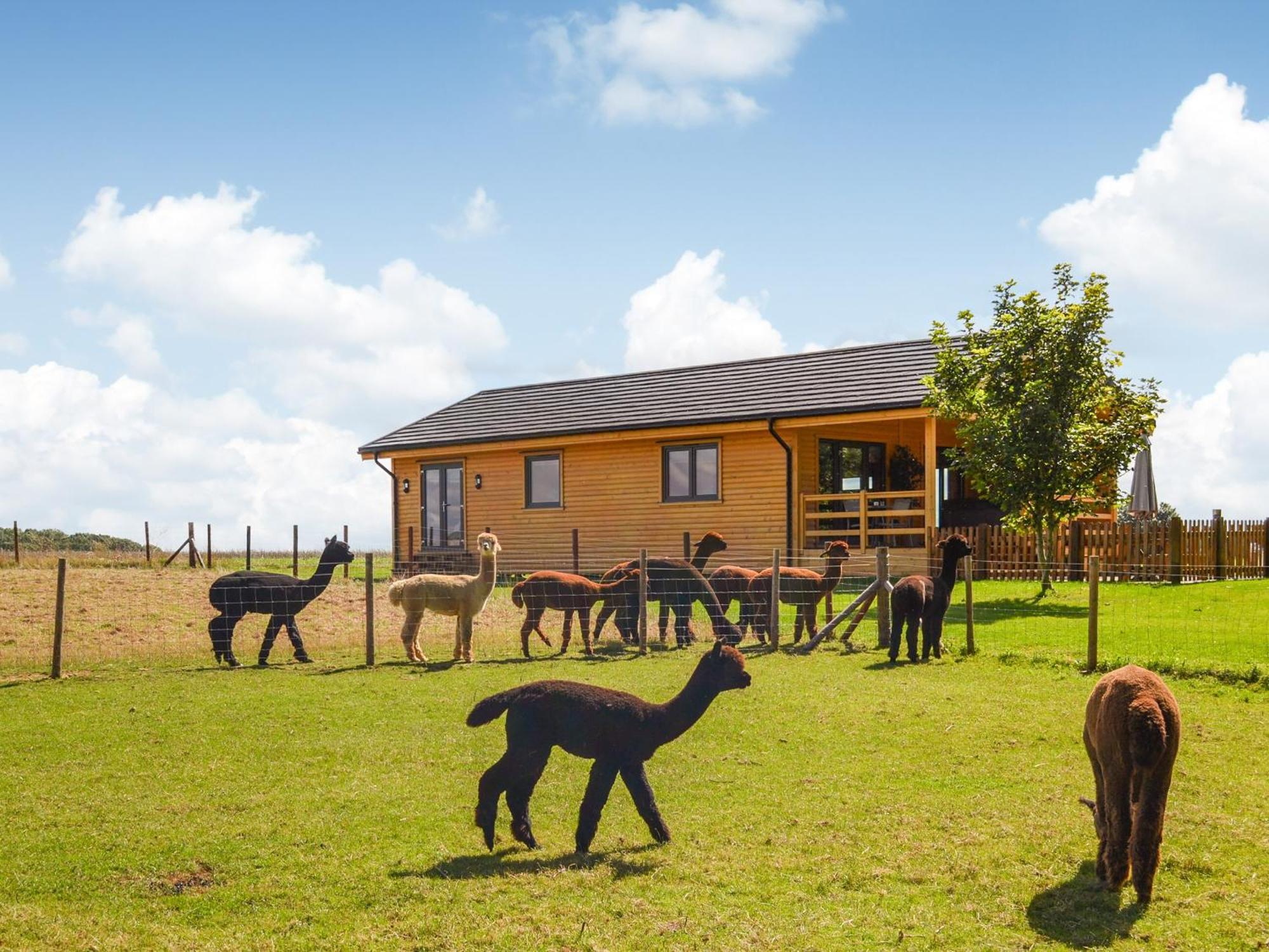 Alpaca Lodge Barkston المظهر الخارجي الصورة